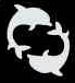 dolphins dolphins