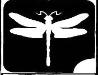 dragonfly dragonfly